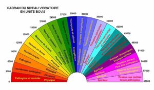 cadran du niveau vibratoire en unité Bovis 