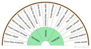 Causes des problèmes éesotériques